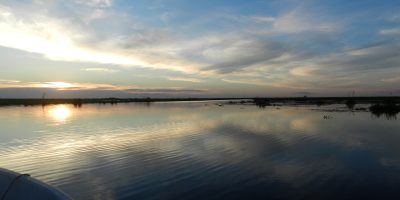 Los esteros del Iberá: línea directa con la naturaleza